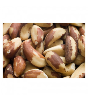 nuez-de-brasil-eco-100g-bioartesa