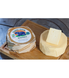 queso-ovin-tierno-eco-500g