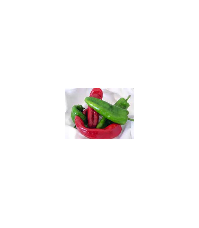 pimiento-italiano-ecologico-250g