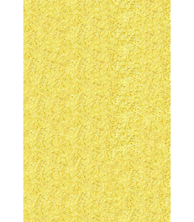 harina-maiz-bio-kg