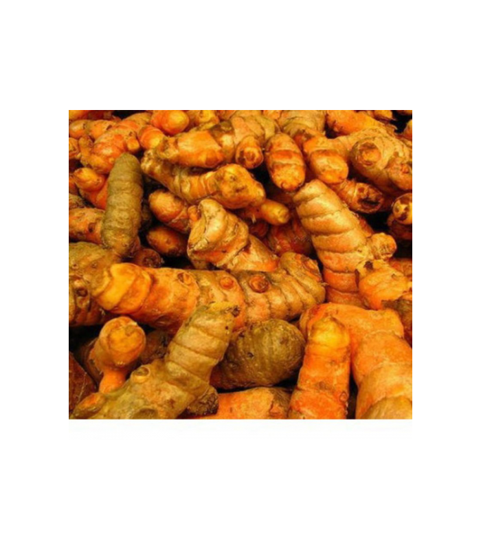 curcuma-fresca-ecologica-100g