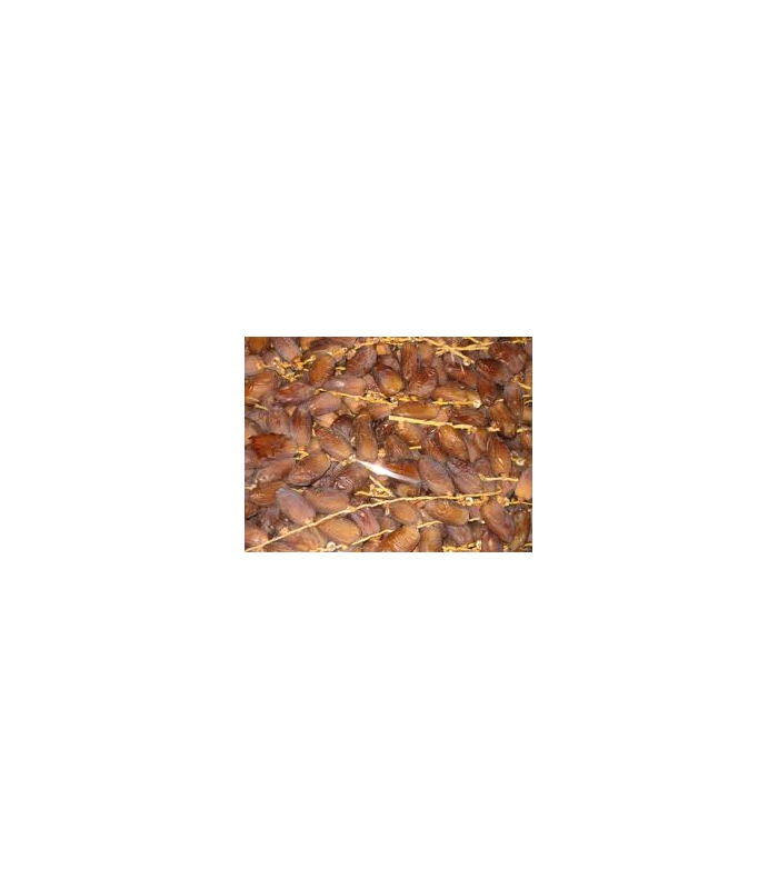 datiles-deglet-nour-ecologicos-250g