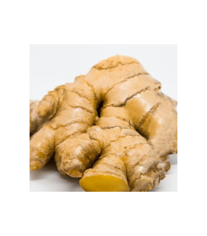 jengibre-ecologico-100g
