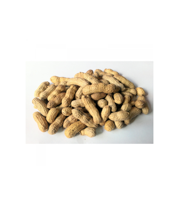 cacahuete-tostado-con-cascara-bio-250g-gumendi