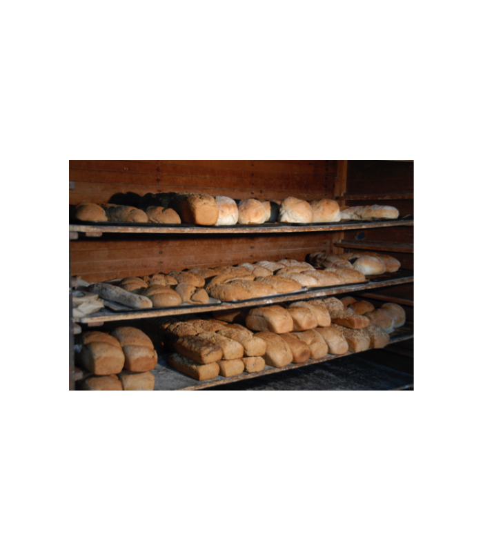 pan-escanda-450g-mixta-madretierra