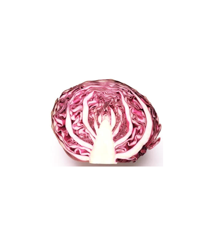 col-lombarda-ecologica-kg