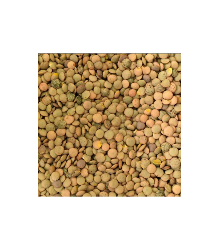 lenteja-pardina-ecologica-500g