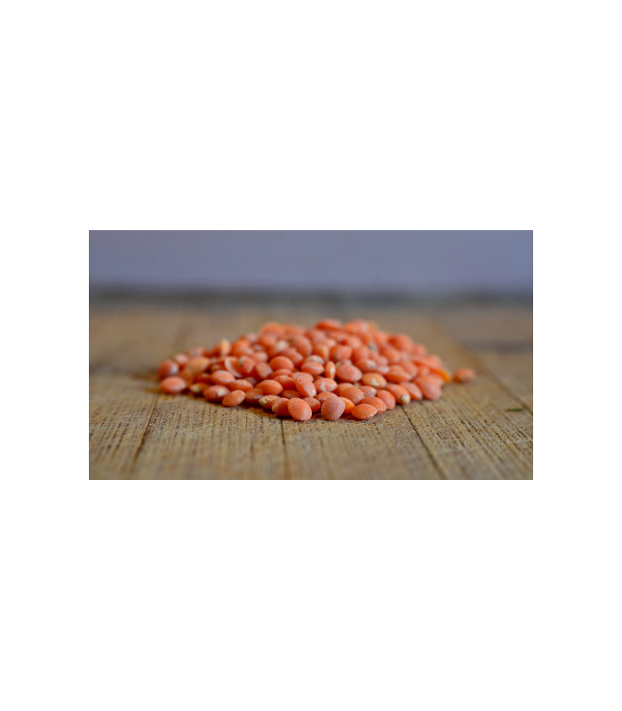 lenteja-roja-ecologica-500g