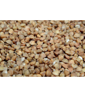 trigo-sarraceno-eco-500g