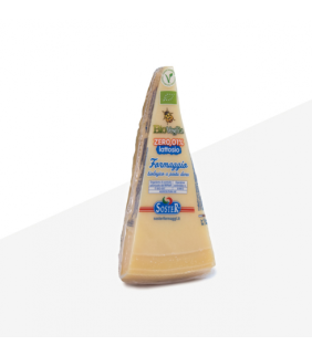 queso-bio-voglia-sin-lactosa-300g