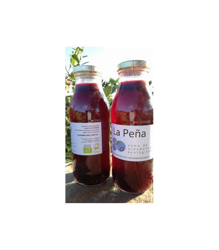 zumo-arandano-eco-500ml-la-pena