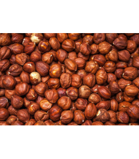 avellana-cruda-bio-100g-bioartesa