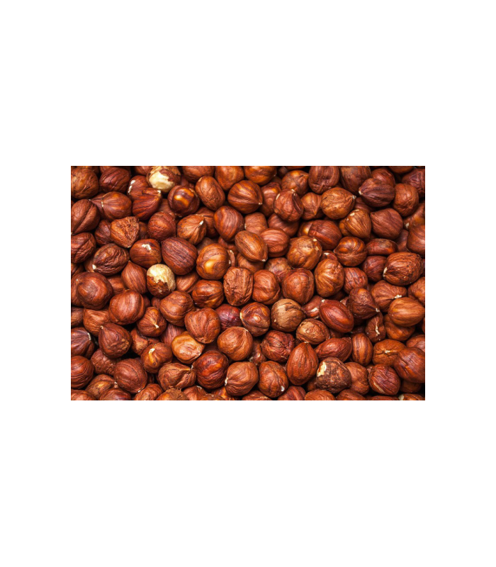 avellana-cruda-bio-100g-bioartesa