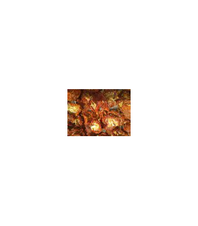 tomate-seco-en-mitades-eco-50g