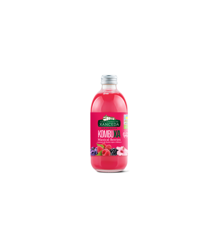 kombuxa-eco-berries-250ml-xanceda