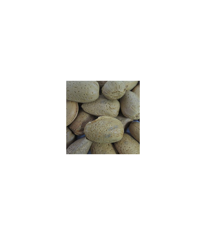 almendra-con-cascara-500g