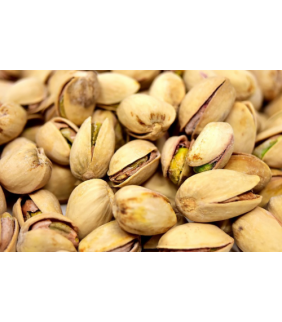 pistacho-tostado-bio-500g-gumendi