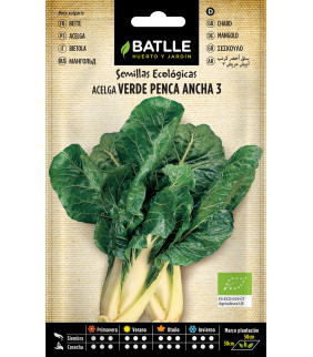 SEMILLAS ACELGA VERDE PENCA...