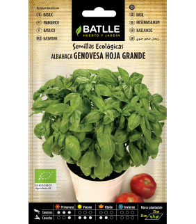SEMILLAS ALBAHACA GENOVESA...