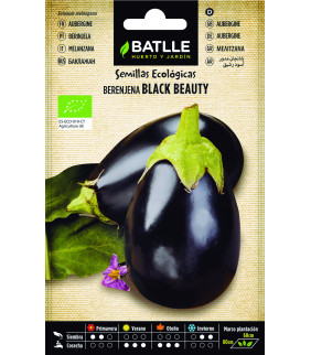 SEMILLAS BERENJENA BLACK...