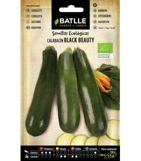 SEMILLAS CALABACIN BLACK...