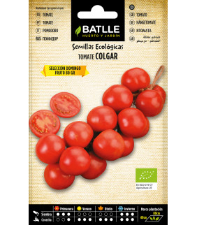 SEMILLAS TOMATE DE COLGAR...