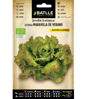 SEMILLAS LECHUGA MARAVILLA...