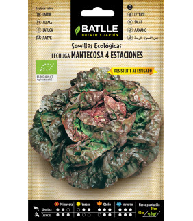 SEMILLAS LECHUGA MANTECOSA...