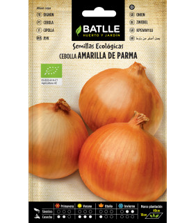 SEMILLAS DE CEBOLLA...