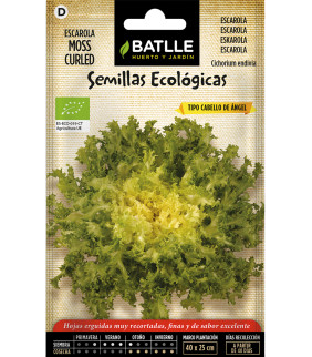 SEMILLAS ESCAROLA CABELLO...