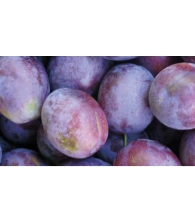 CIRUELA ROJA ECOLOGICA 250g