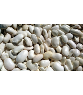 alubia-blanca-arrocina-ecologica-500g