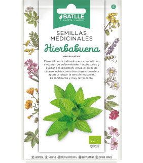 HIERBABUENA SEMILLAS PARA...