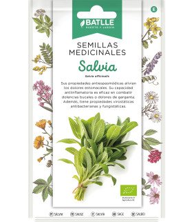 SALVIA SEMILLAS PARA...