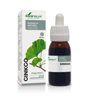 GINKGO BILOBA EXTRACTO...