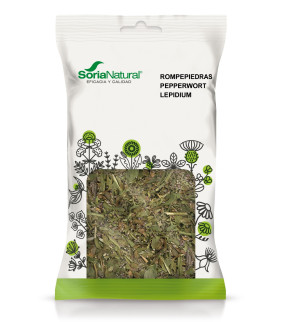 ROMPEPIEDRA PLANTA SORIA...