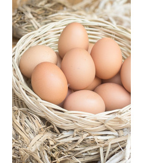 HUEVOS ECOLOGICOS DOCENA...