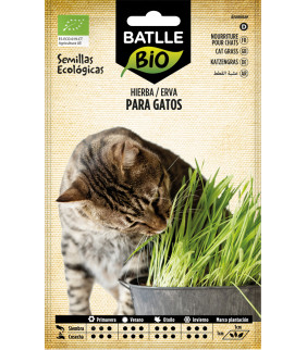 SEMILLAS HIERBA PARA GATOS...