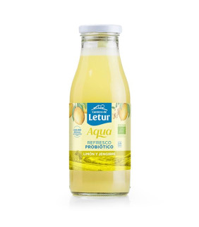 KEFIR DE AGUA...