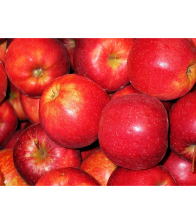 MANZANA ROYAL GALA...