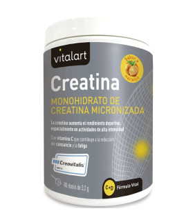 CREATINA VITALAT 256GR