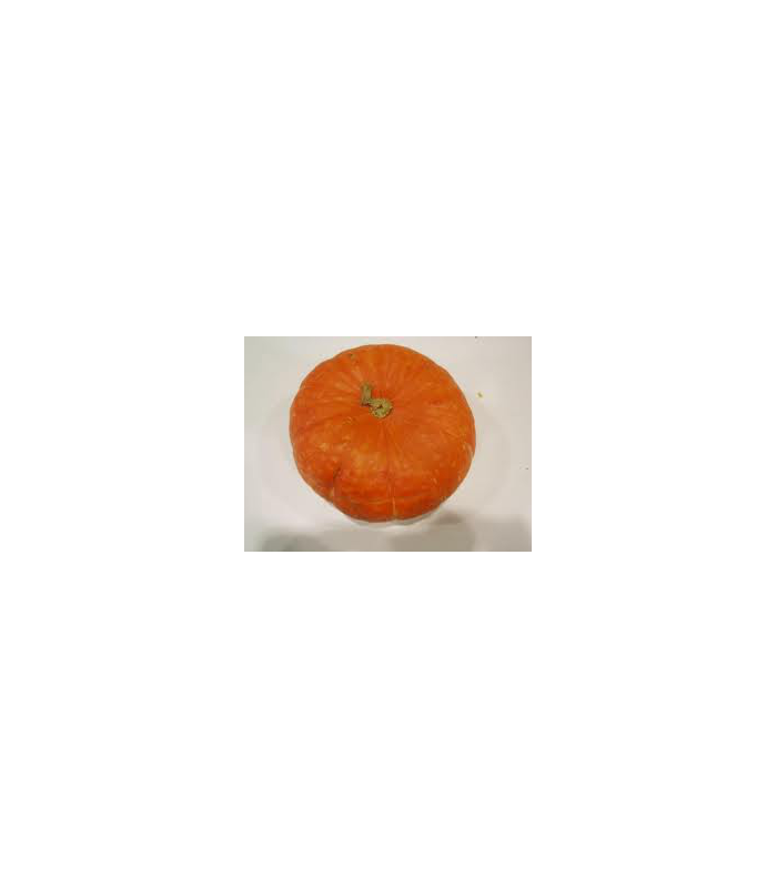 calabaza-potimarron-ecologica-kg