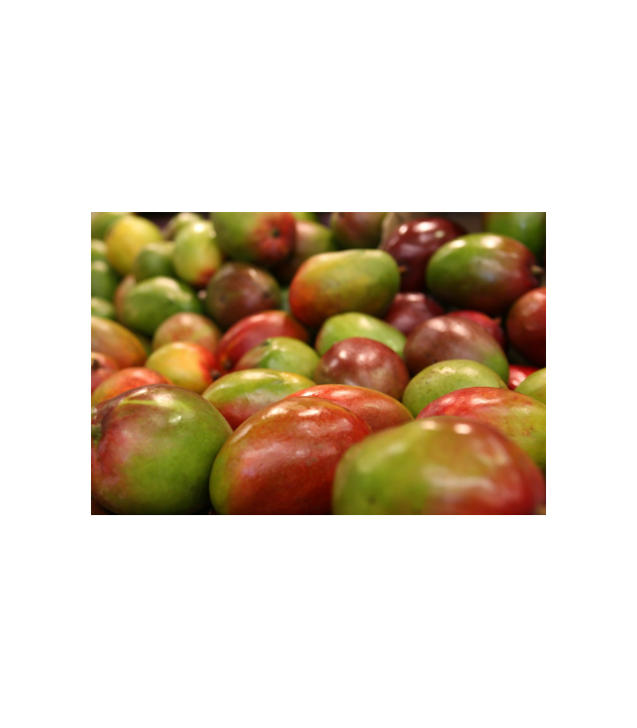 mango-ecologico-500g
