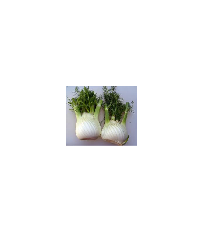 hinojo-ecologico-250g
